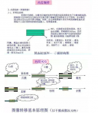  高多层PCB的内层制作过程